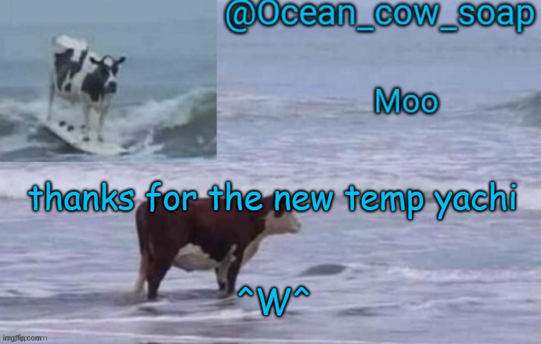 soap's ocean cow temp (ty yachi ^^) | thanks for the new temp yachi; ^W^ | image tagged in soap's ocean cow temp ty yachi | made w/ Imgflip meme maker