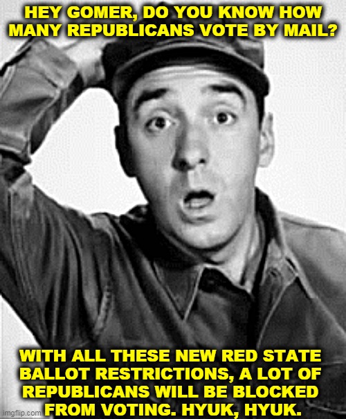 Sure, if the elections are all fixed, Republicans should just stay home. | HEY GOMER, DO YOU KNOW HOW MANY REPUBLICANS VOTE BY MAIL? WITH ALL THESE NEW RED STATE 
BALLOT RESTRICTIONS, A LOT OF 
REPUBLICANS WILL BE BLOCKED 
FROM VOTING. HYUK, HYUK. | image tagged in voter fraud,republican,stupidity | made w/ Imgflip meme maker