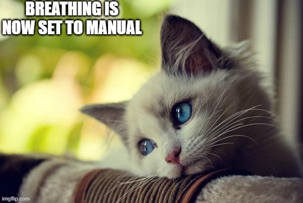 your welmcomh |  BREATHING IS NOW SET TO MANUAL | image tagged in memes,first world problems cat | made w/ Imgflip meme maker