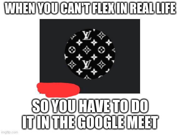 thanks for reading the title, have a nice day :) | WHEN YOU CAN'T FLEX IN REAL LIFE; SO YOU HAVE TO DO IT IN THE GOOGLE MEET | image tagged in flex,brat,google meet,meet,zoom | made w/ Imgflip meme maker