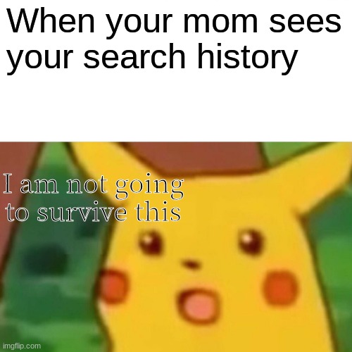 When mom see | When your mom sees your search history; I am not going to survive this | image tagged in memes,surprised pikachu | made w/ Imgflip meme maker