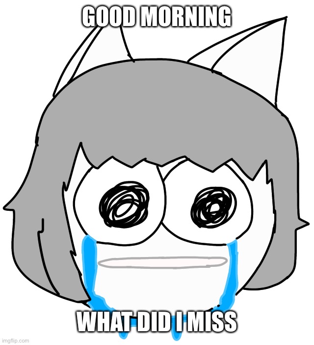 Crying Moneko | GOOD MORNING; WHAT DID I MISS | image tagged in crying moneko | made w/ Imgflip meme maker