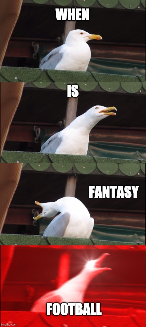 Inhaling Seagull | WHEN; IS; FANTASY; FOOTBALL | image tagged in memes,inhaling seagull,football,fantasy football,funny,lol | made w/ Imgflip meme maker