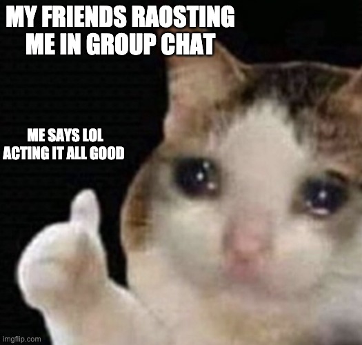 cat cry | MY FRIENDS RAOSTING ME IN GROUP CHAT; ME SAYS LOL ACTING IT ALL GOOD | image tagged in cat cry | made w/ Imgflip meme maker