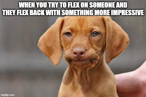 aha, aha, aha | WHEN YOU TRY TO FLEX ON SOMEONE AND THEY FLEX BACK WITH SOMETHING MORE IMPRESSIVE | image tagged in dissapointed puppy | made w/ Imgflip meme maker
