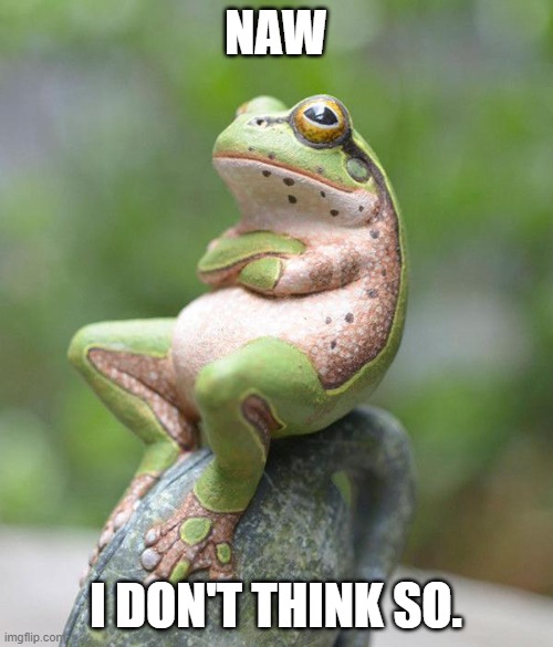 nah frog | NAW I DON'T THINK SO. | image tagged in nah frog | made w/ Imgflip meme maker