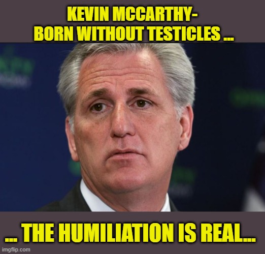 LOSER OF THE WEEK.... | KEVIN MCCARTHY- 
BORN WITHOUT TESTICLES ... ... THE HUMILIATION IS REAL... | image tagged in scumbag republicans,moron,donald trump | made w/ Imgflip meme maker