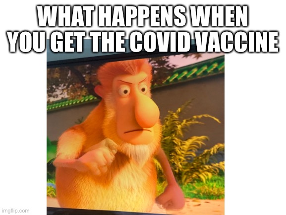 Bruh lmfao | WHAT HAPPENS WHEN YOU GET THE COVID VACCINE | image tagged in random | made w/ Imgflip meme maker
