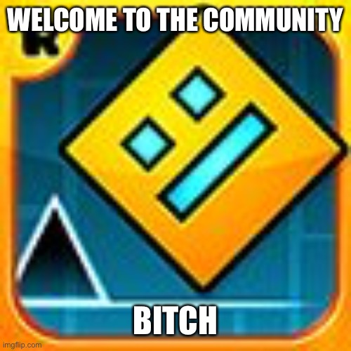 Geometry Dash | WELCOME TO THE COMMUNITY BITCH | image tagged in geometry dash | made w/ Imgflip meme maker