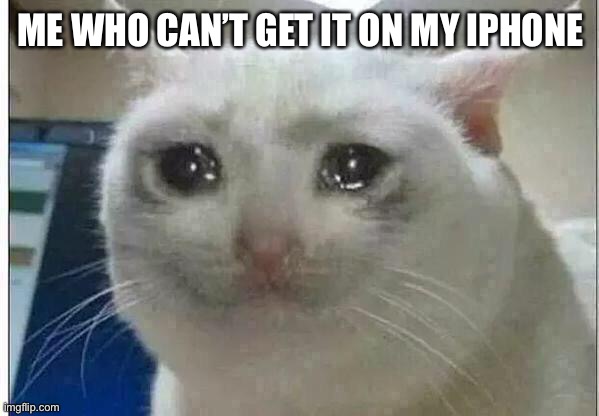 crying cat | ME WHO CAN’T GET IT ON MY IPHONE | image tagged in crying cat | made w/ Imgflip meme maker