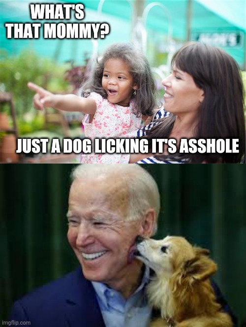 The innocence of youth | WHAT'S THAT MOMMY? JUST A DOG LICKING IT'S ASSHOLE | image tagged in look mommy,joe biden | made w/ Imgflip meme maker