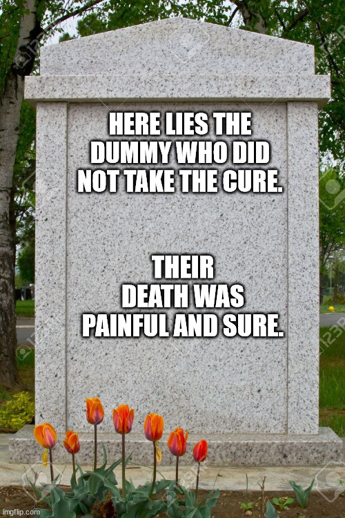 blank gravestone | HERE LIES THE DUMMY WHO DID NOT TAKE THE CURE. THEIR DEATH WAS PAINFUL AND SURE. | image tagged in blank gravestone | made w/ Imgflip meme maker