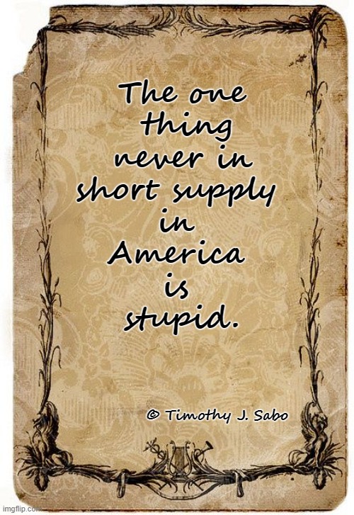 Stupid | The one
 thing
 never in 
short supply 
in 
America 
is 
stupid. © Timothy J. Sabo | image tagged in stupid,america,supply,no shortage | made w/ Imgflip meme maker