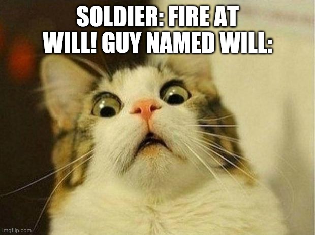 Uh oh | SOLDIER: FIRE AT WILL! GUY NAMED WILL: | image tagged in memes,scared cat | made w/ Imgflip meme maker