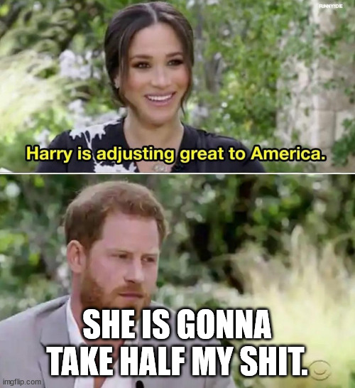 Confused Prince Harry | SHE IS GONNA TAKE HALF MY SHIT. | image tagged in confused prince harry | made w/ Imgflip meme maker