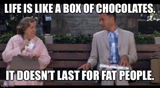 F            A                   T | LIFE IS LIKE A BOX OF CHOCOLATES. IT DOESN’T LAST FOR FAT PEOPLE. | image tagged in forrest gump box of chocolates | made w/ Imgflip meme maker