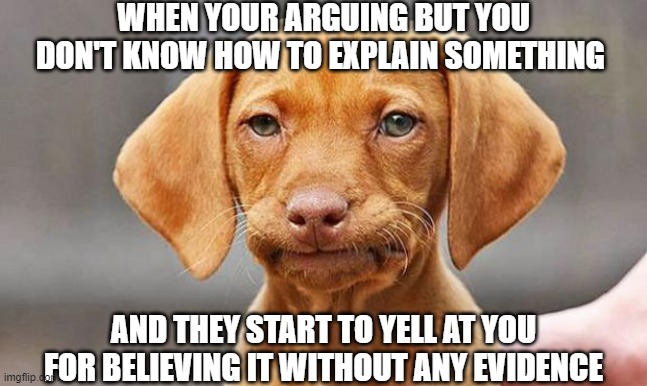 sereously | WHEN YOUR ARGUING BUT YOU DON'T KNOW HOW TO EXPLAIN SOMETHING; AND THEY START TO YELL AT YOU FOR BELIEVING IT WITHOUT ANY EVIDENCE | made w/ Imgflip meme maker
