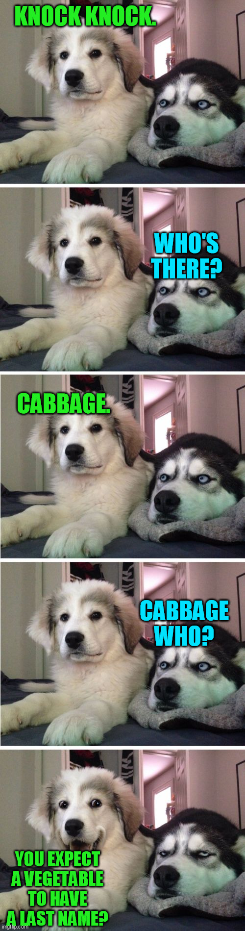 Knock Knock Dogs | KNOCK KNOCK. WHO'S THERE? CABBAGE. CABBAGE WHO? YOU EXPECT A VEGETABLE TO HAVE A LAST NAME? | image tagged in knock knock dogs | made w/ Imgflip meme maker