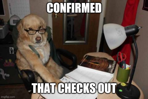 Accountant Dog | CONFIRMED THAT CHECKS OUT | image tagged in accountant dog | made w/ Imgflip meme maker