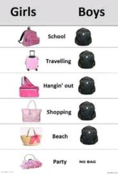 lol bags,bags bags,bags,BAGS! | image tagged in boys vs girls,bags | made w/ Imgflip meme maker