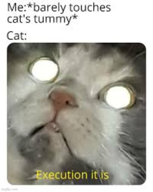 cat go brrrr | image tagged in cats,memes,explosion | made w/ Imgflip meme maker