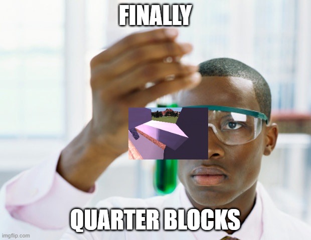 everyone talking bout half slabs, no body thinking bout this | FINALLY; QUARTER BLOCKS | image tagged in black scientist finally xium | made w/ Imgflip meme maker