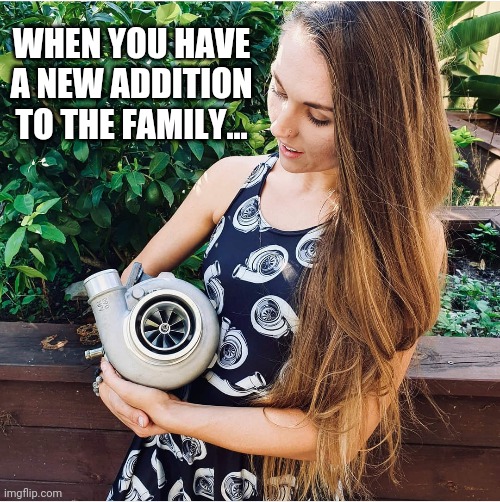 Turbo baby |  WHEN YOU HAVE A NEW ADDITION TO THE FAMILY... | image tagged in turbo | made w/ Imgflip meme maker