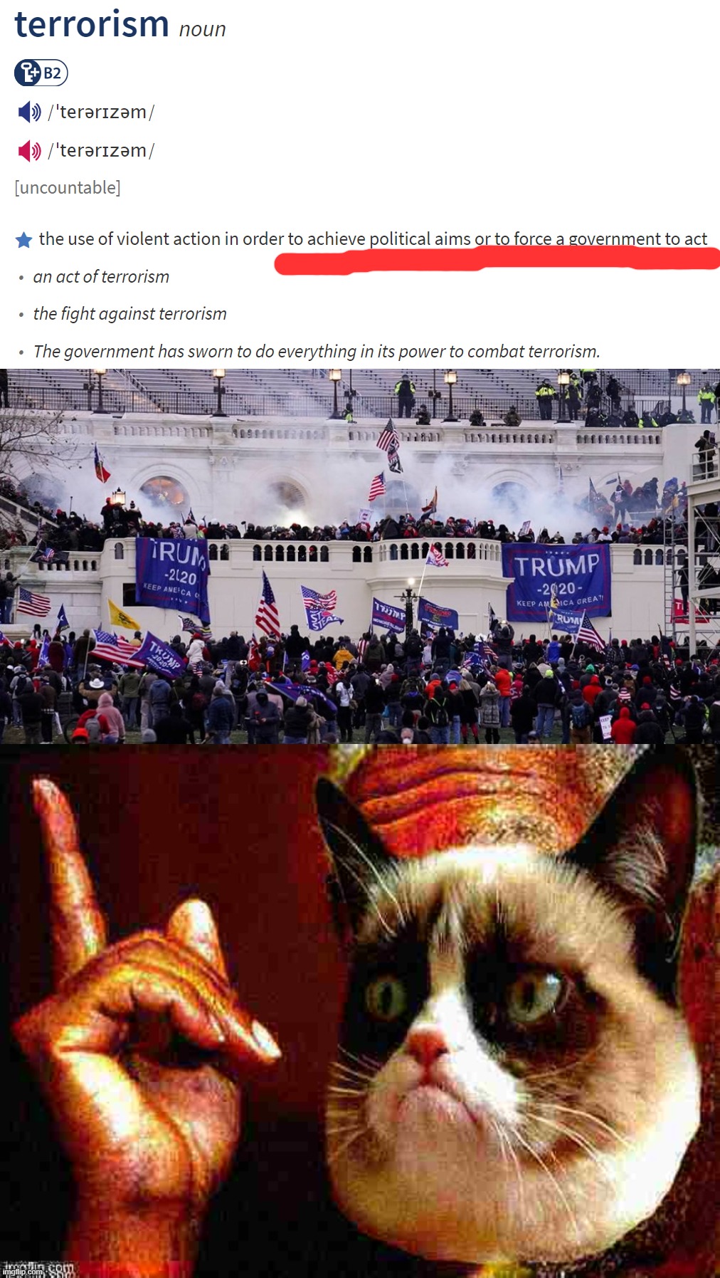 Was the Jan. 6 riot also terrorism? Why: Yes it was | image tagged in terrorism definition,maga riot,morgan freeman cat he's right you know deep-fried 1 | made w/ Imgflip meme maker