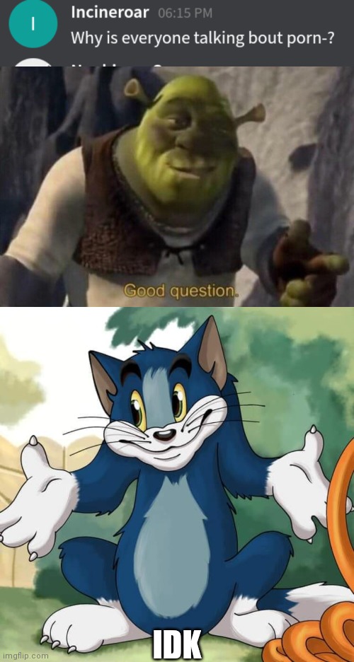 Heeeeeeelp ;-; | IDK | image tagged in shrek good question,tom and jerry - tom who knows hd | made w/ Imgflip meme maker