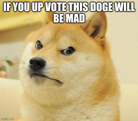 doge will be mad | IF YOU UP VOTE THIS DOGE WILL
BE MAD | image tagged in mad doge,funny,upvotes,downvote | made w/ Imgflip meme maker