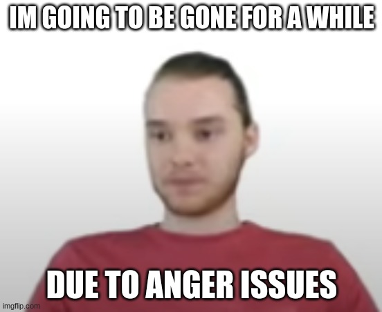 good bye | IM GOING TO BE GONE FOR A WHILE; DUE TO ANGER ISSUES | image tagged in disappointed mike | made w/ Imgflip meme maker