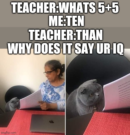 TEACHER:WHATS 5+5; ME:TEN; TEACHER:THAN WHY DOES IT SAY UR IQ | image tagged in woman showing paper to cat,lol | made w/ Imgflip meme maker