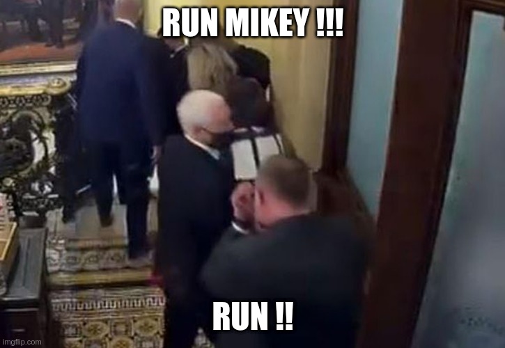 Run Mikey !!! | RUN MIKEY !!! RUN !! | image tagged in coward mike pence | made w/ Imgflip meme maker