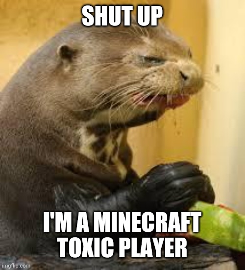 Disgusted Otter | SHUT UP I'M A MINECRAFT TOXIC PLAYER | image tagged in disgusted otter | made w/ Imgflip meme maker