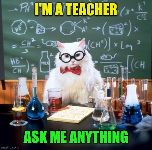 Or vent your frustration as a student.  I don't mind. | I'M A TEACHER; ASK ME ANYTHING | image tagged in memes,chemistry cat | made w/ Imgflip meme maker