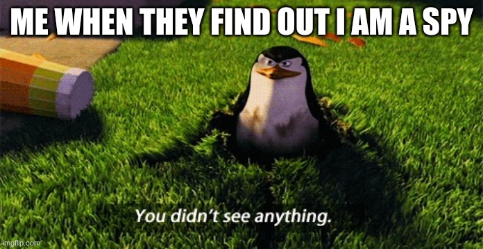 penguin meme | ME WHEN THEY FIND OUT I AM A SPY | image tagged in penguin meme | made w/ Imgflip meme maker