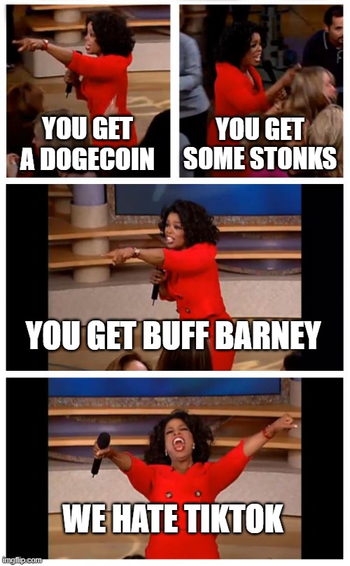 4 all those noobs out there | YOU GET A DOGECOIN; YOU GET SOME STONKS; YOU GET BUFF BARNEY; WE HATE TIKTOK | image tagged in memes,oprah you get a car everybody gets a car | made w/ Imgflip meme maker