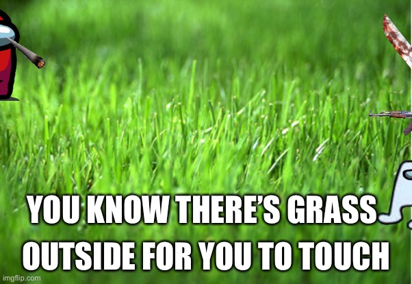 There’s grass outside | YOU KNOW THERE’S GRASS; OUTSIDE FOR YOU TO TOUCH | image tagged in funny | made w/ Imgflip meme maker