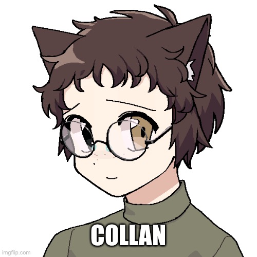 COLLAN | made w/ Imgflip meme maker