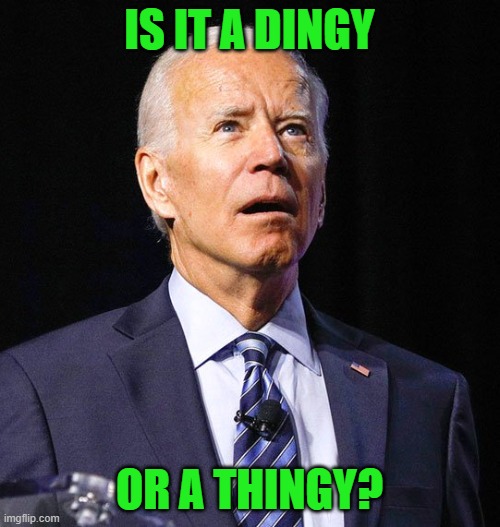 Joe Biden | IS IT A DINGY OR A THINGY? | image tagged in joe biden | made w/ Imgflip meme maker