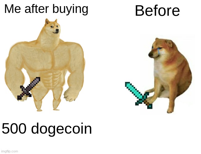 Dooge CoIn | Me after buying; Before; 500 dogecoin | image tagged in memes,buff doge vs cheems | made w/ Imgflip meme maker