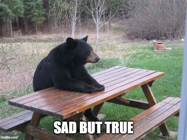bear table | SAD BUT TRUE | image tagged in bear table | made w/ Imgflip meme maker