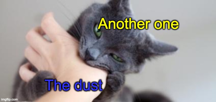 only some people will understand this joke | Another one; The dust | image tagged in cat bite,memes,funny,cats,bite,jokes | made w/ Imgflip meme maker