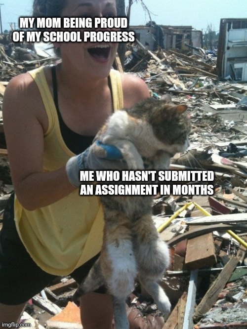 Scraggly Cat with a happy Mama | MY MOM BEING PROUD OF MY SCHOOL PROGRESS; ME WHO HASN'T SUBMITTED AN ASSIGNMENT IN MONTHS | image tagged in cats,relatable | made w/ Imgflip meme maker