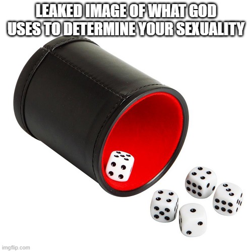 I think God rolled a YAHTZEE on me! xD | LEAKED IMAGE OF WHAT GOD USES TO DETERMINE YOUR SEXUALITY | image tagged in yahtzee dice cup,dice,lgbt,god,lol,memes | made w/ Imgflip meme maker