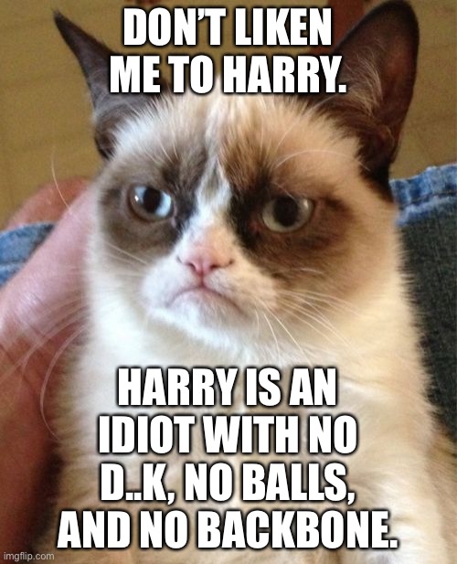 Prince Harry is a… | DON’T LIKEN ME TO HARRY. HARRY IS AN IDIOT WITH NO D..K, NO BALLS, AND NO BACKBONE. | image tagged in memes,grumpy cat,prince harry,meghan markle,royal family,men and women | made w/ Imgflip meme maker