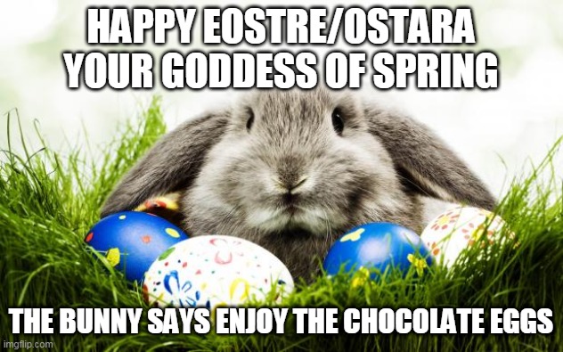 Easter bunny | HAPPY EOSTRE/OSTARA
YOUR GODDESS OF SPRING; THE BUNNY SAYS ENJOY THE CHOCOLATE EGGS | image tagged in easter bunny | made w/ Imgflip meme maker