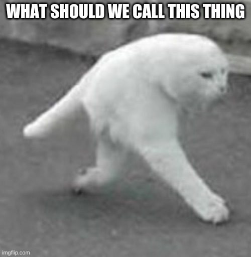 WHAT SHOULD WE CALL THIS THING | made w/ Imgflip meme maker
