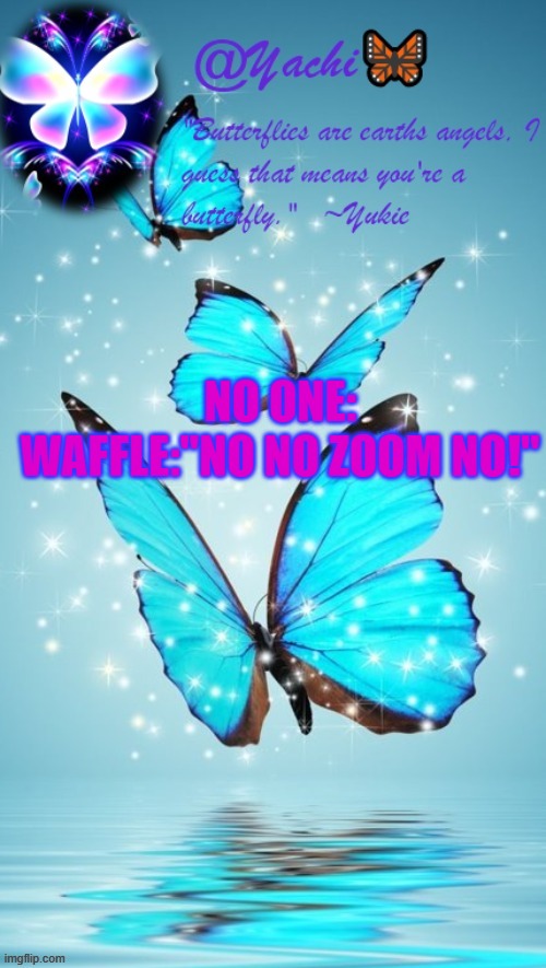 Yachi's butterfly temp | NO ONE:
WAFFLE:"NO NO ZOOM NO!" | image tagged in yachi's butterfly temp | made w/ Imgflip meme maker