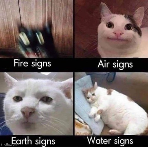 the earth signs tho- | made w/ Imgflip meme maker